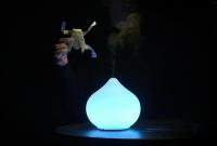 Hradce Králové, Osamocená, CKD, LCH 2021