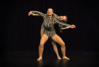 Velké Opatovice, Bez hranic, Jednosměrní lidé, Sokolovská čurda 2017