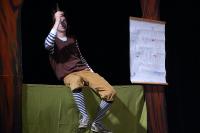 Plzeň, Jezírko, Příběhy z peří, KP RADNICKÝ DRÁČEK Radnice 2014