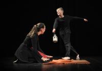 Ostrov, Na poslední chvíli, ZUŠ Ostrov, Pac a pusu, CP Dětská scéna, Svitavy 2017