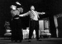 Libice nad Cidlinou, Vojan, Blázinec v prvním poschodí, 1996