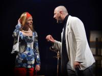 Mladá Boleslav, Divadýlko na dlani, Rue Bonapart 17, Divadelní Děčín 2008