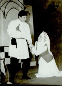 Vyškov, Za branou, Masopustní hry