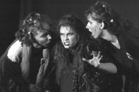 Lázně Toušeň, Sokol, Matěj a čarodějnice, 2006