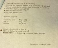 Bystřice nad Pernštejnem, Okresní přehlídka dětských loutkářských a divadelních souborů 1989