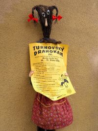 Turnovský drahokam 2006, propagace přehlídky