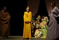 Opava, Štěk, Šípková, 2010