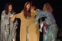 Plzeň, Divadelní spolek Jezírko, Strakonický dudák, 2006