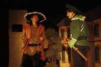 Zvoleněves, Sokol, Večer tříkrálový, 2009