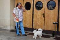 Hronov, CP Jiráskův Hronov, snímky z plenéru, 2008