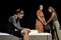 Litoměřice, Li-Di, Odpověď na všechno, CP Divadelní Piknik Volyně 2024