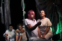 Praha, Kardio Theatre, Kabaret duševní aneb Nevesely truchlivy, CP Divadelní Piknik Volyně 2024