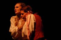 Česká Lípa, Jirásek, Jak se vám líbí Jak se vám líbí, KP Lounské divadlení 2014