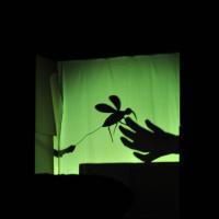 Opava, Štěci, Komáři se ženili, KP Mumraj! Hodonín 2025