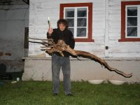 JH 2006, seminář Žižka