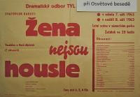 Lysá nad Labem, výstava DIVADLO JE PODIVUHODNÁ VĚC..., Žena nejsou housle, 1963, výstavní panel, 2018