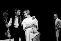 Poběžovice a Hostouň, DS OB, Ivan Škopa: Hastrmanická komedyje, OP horšovský Týn 1997