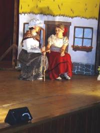 Trstěnice, Vojnařičky, Sůl nad zlato, 2003