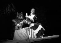 Praha, Divadélko na peróně, Panna a netvor, CP Jiráskův Hronov 1996