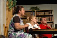 Praha, Divadelní sekce, Společenstvo vlastníků, CP Divadelní Piknik Volyně 2021