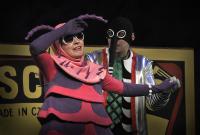 Liberec, Naivní divadlo, Komáři se ženili, CP Popelka Rakovník 2015