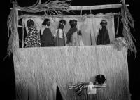 Jaroměř, Spolu, O muži, který počítal šišky, 2009