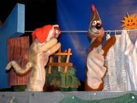 Hradec Králové, Had, Pejsek a kočička