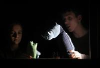 Žamberk, ZUŠ, MajTo, Zelený příběh s modrým koncem, CP Loutkářská Chrudim 2017