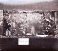 Potštejn, Velešovský poklad,  Výstava loutek, 1952, sokolovna