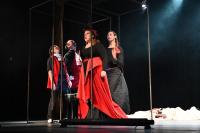 Praha, Hofcomoedianten, Dvě komedie v komedii, Femad Poděbrady, 2025