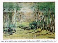 Kameničky, prospekt lesa, Josef Dvořák, ex Kmošek, kap. VI. Za oponou, před oponou,  s. 49
