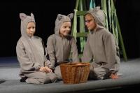 Němčice nad Hanou, ZUŠ, Příběh Mauglího, KP HDM Němčice nad Hanou 2017