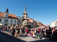 Počátky, AJeTo, Václavské slavnosti, 2009