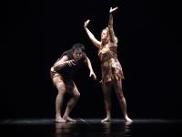 České Budějovice, PANE, Pravěk, 2008