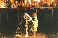 Líšnice, Křoví, Lucerna, 1999