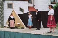 Jindřichův Hradec, Jindřichohradecká činohra, Tvrdohlavá žena, 2004