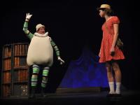 Benešov, Svatopluk, Alenčiny rošády, Popelka 2009