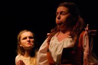 Česká Lípa, Jirásek, Jak se vám líbí Jak se vám líbí, KP Lounské divadlení 2014