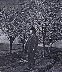 Leger, Karel ve své třešňovce, ex Almanach, s. 42, 1939