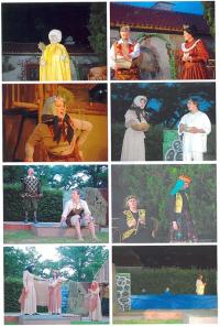 Netolice, SDO Tyl, Tři zlaté vlasy Děda Vševěda, 2003