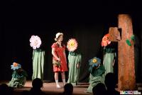 Louňovice, DIPONA, Alenčiny rošády, 2019