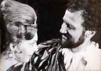 Třebíč, ZGK Borovina, Tenkrát v Tróji