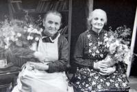 Žďár nad Sázavou, ZK ROH Žďas, Lidé na kře, 1958