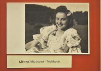 Lysá nad Labem, výstava DIVADLO JE PODIVUHODNÁ VĚC..., výstavní panel, 2018