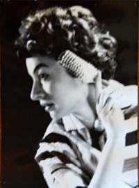 Třebíč, ZGK Borovina, Svatba sňatkového podvodníka, 1962