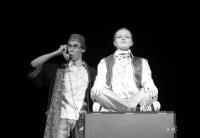 Slavičín, SemTamFór, Elektrická puma, 2010