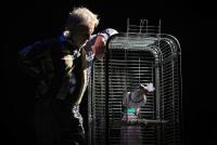 Plzeň, Divadlo Alfa, Cesta do středu země, CP Loutkářská Chrudim 2017