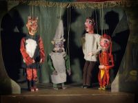 Hradec Králové, Poli, Pustý les, LCH 2005