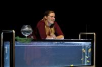 Česká Třebová, Triarius, Fernando Krapp mi napsal dopis, CP Jiráskův Hronov 2024