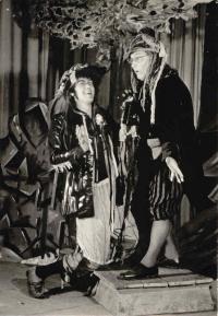 Zákupy, Havlíček, Lucerna, 1970